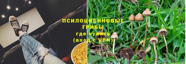 бутират Няндома