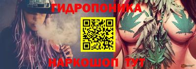 скорость Дубна