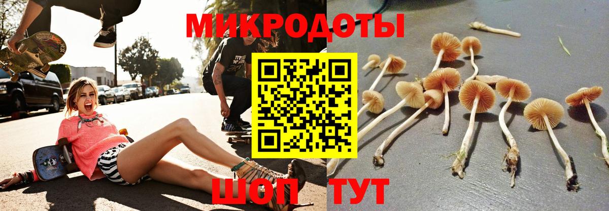 Галлюциногенные грибы мицелий Лангепас